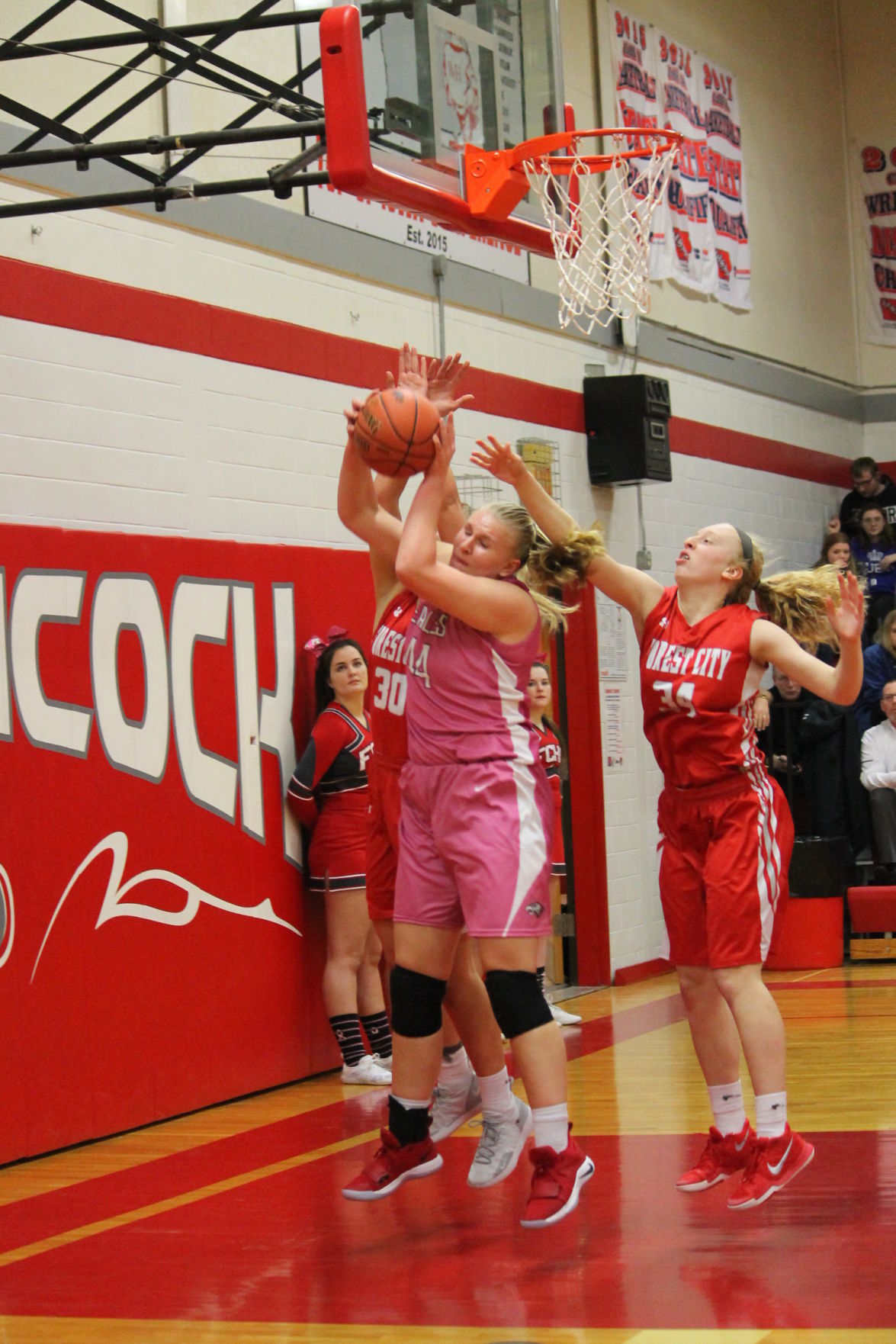 wh vs fc 1-25-19 009.JPG